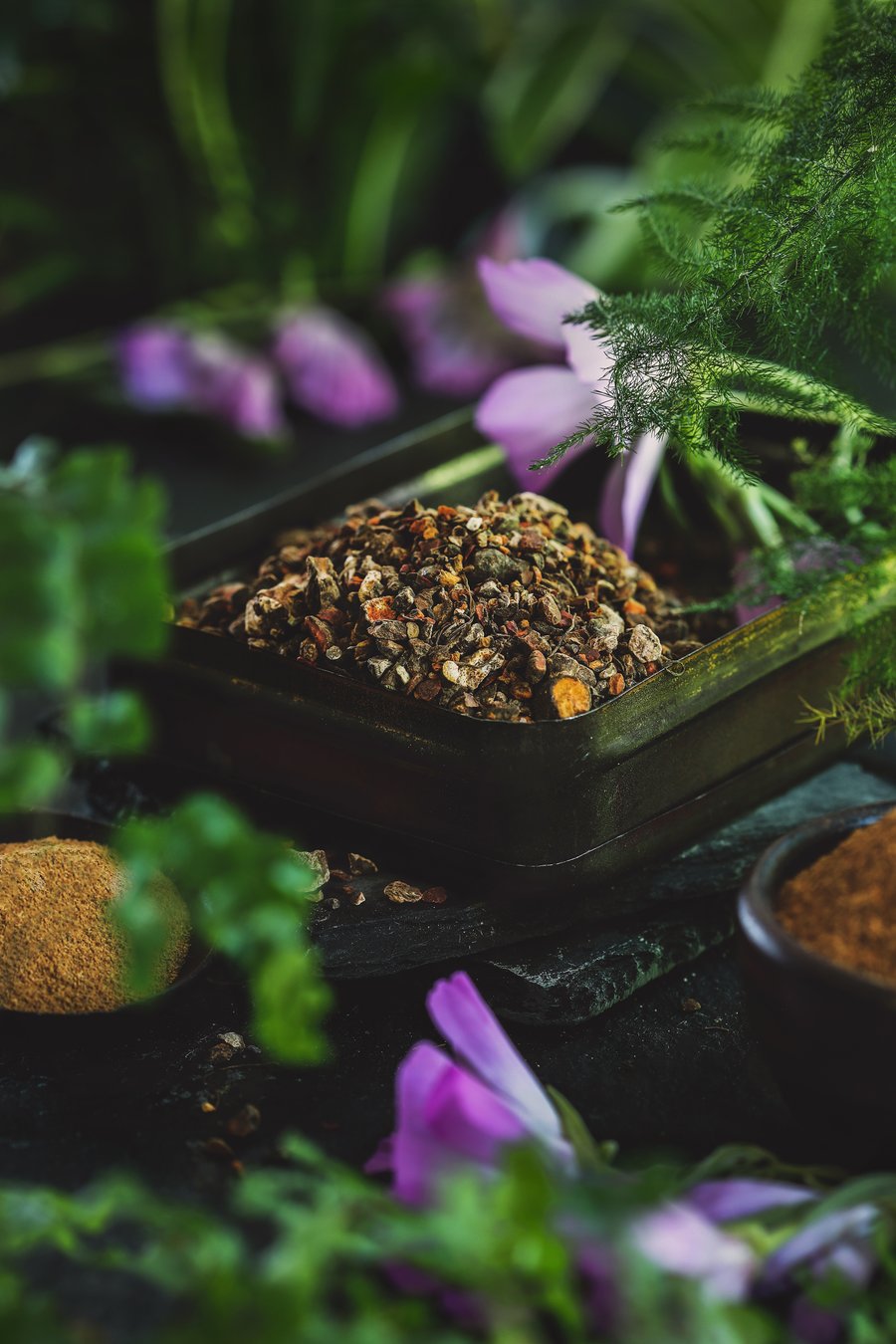 Bloodroot How We Can Create a Bountiful Future for an AtRisk Herb